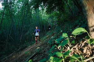 BIB: 
                            <button type="button" onclick="openModal(28124612)" class="btn btn-primary btn-sm float-right btn-popup" data-toggle="modal" data-target=".modal-high-quality">
                        <i class="fas fa-shopping-cart"></i> Add to Cart
                    </button>
                                            <button type="button" onclick="isThisMe(28124612, true)" class="btn btn-success btn-sm float-right btn-popup btn-isme hidden" data-toggle="tooltip" data-placement="bottom" title="นี่คือรูปของคุณใช่ไหม คลิกที่นี่เพื่อเอาเข้าอัลบั้ม">
                        <i class="fas fa-plus"></i> Add to album
                    </button>
                    <button type="button" onclick="isThisMe(28124612, false)" class="btn btn-warning btn-sm float-right btn-popup btn-isnotme hidden">
                        <i class="fas fa-ban"></i> Remove from album
                    </button>